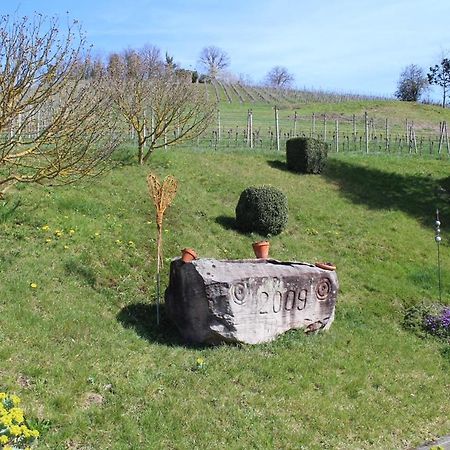 Ferienwohnung Am Weinberg Oberkirch  Eksteriør billede