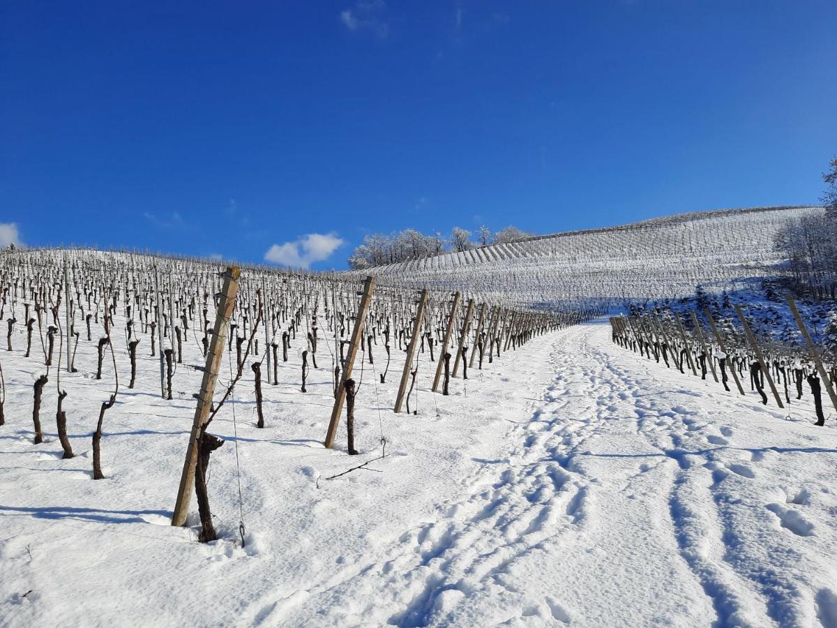Ferienwohnung Am Weinberg Oberkirch  Eksteriør billede