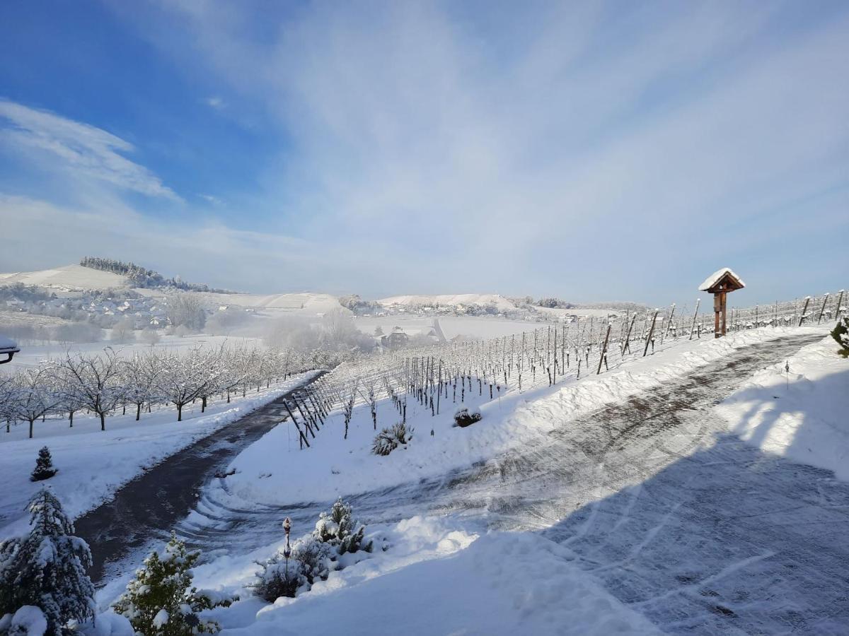 Ferienwohnung Am Weinberg Oberkirch  Eksteriør billede