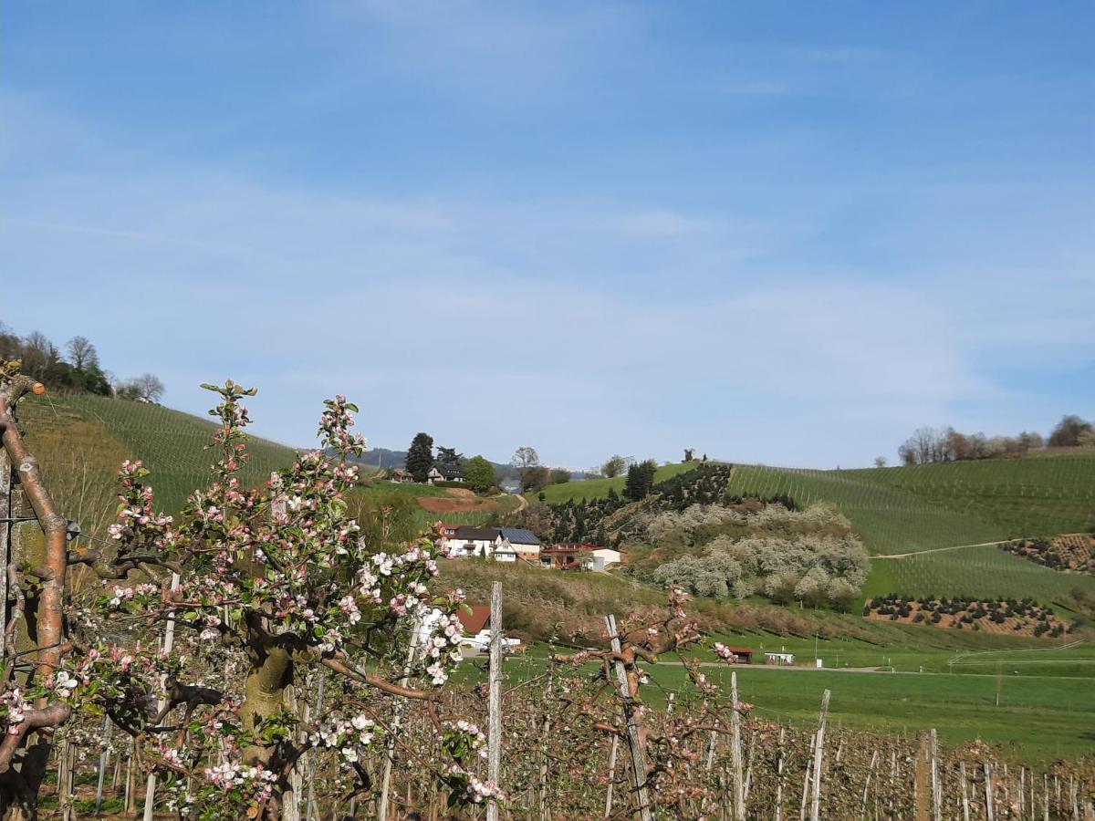 Ferienwohnung Am Weinberg Oberkirch  Eksteriør billede